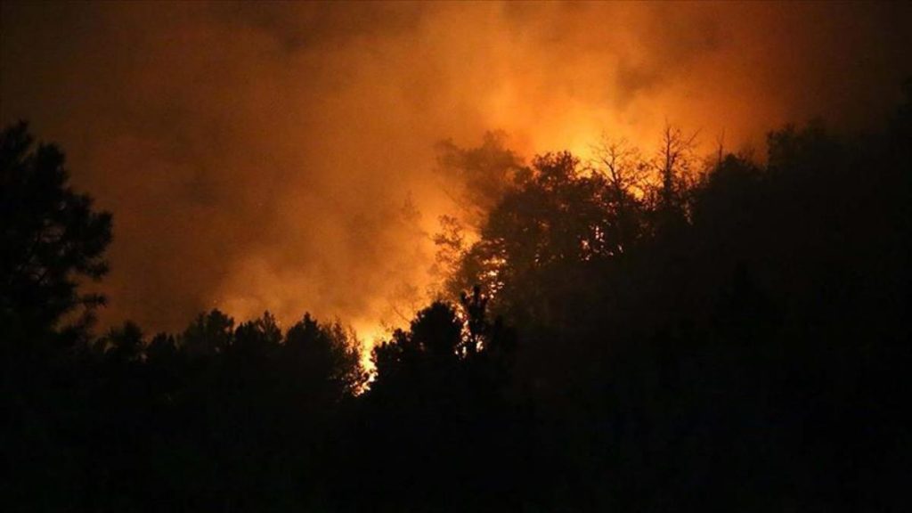 ORMAN YANGINLARIYLA MÜCADELEDE SON DURUM!