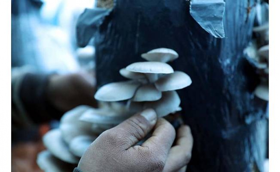 Hobi olarak başladığı işte siparişlere yetişemez oldu