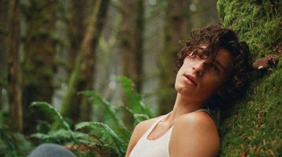 Shawn Mendes’in Hayat Hikayesi