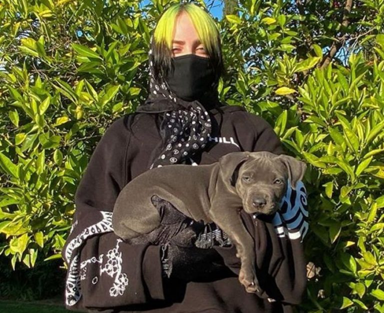 BILLIE EILISH HAFTALARDIR PERUK TAKIYOR