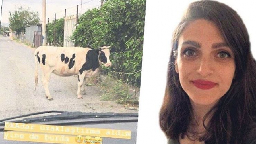 İNEKLİ FOTOĞRAFLA ESKİ EŞİNE GÖNDERME YAPAN KADINA CEZA