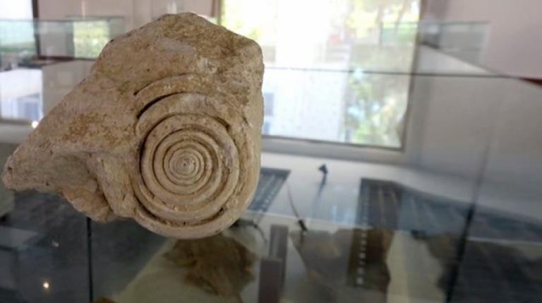 60 milyon yıl öncesine ait salyangoz fosili bulundu