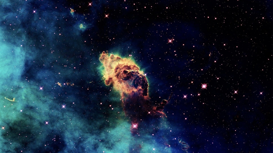 Nasa Uzaya canlı kalamar götürüyor