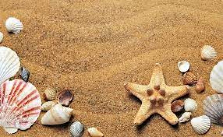 Erken Rezervasyonun Püf Noktaları