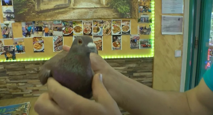 Dönüşte acıkmış, Berlin’e uğrayıp bizde mola verdi