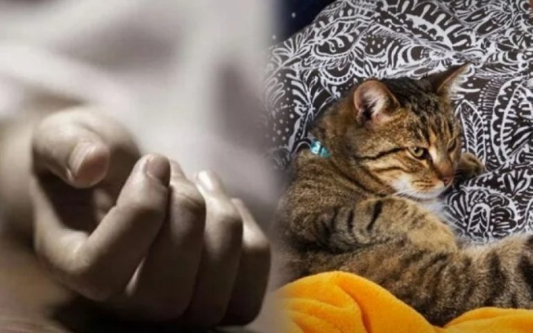 Evcil kedileri kadının belden yukarısını yemiş