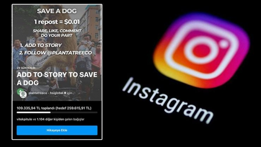 Save a dog bağışı nedir