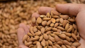 Çok Faydalı Ama Dikkat!