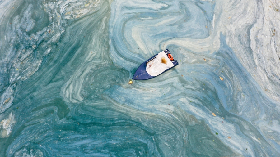 MARMARA MÜSİLAJINDA SON DURUM: 3’TE 2 AZALDI!