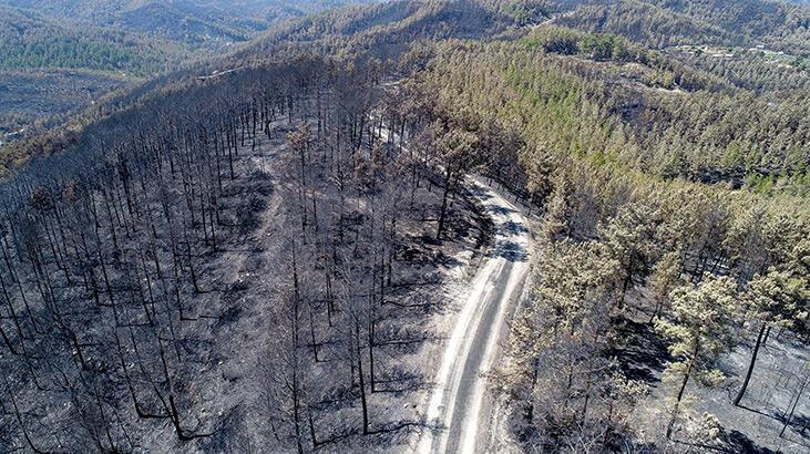 YANGINDAN ETKİLENENLERE YARDIM! “10 BİN LİRA HESAPLARA YATTI…”