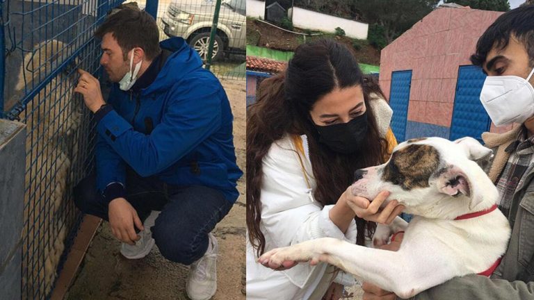 Kıvanç Tatlıtuğ-Başak Dizer Çiftinden Sokak Hayvanlarına Destek