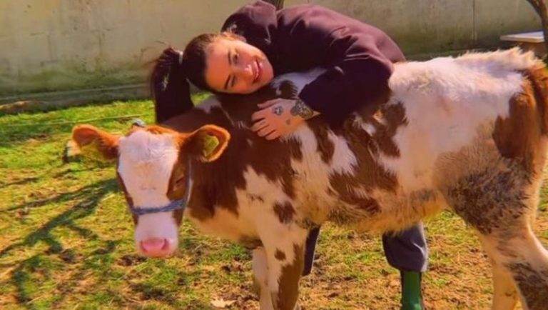 Ceylan Ertem’in Köy Hayatı