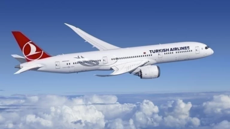 Dikkat! THY’de Kar Alarmı: 205 Sefer İptal Edildi