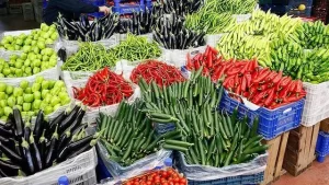 Rusya’dan Türkiye Kararı! Yasak Kalkıyor…