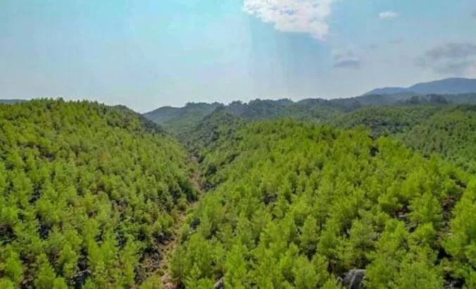 Valilik Duyurdu: 30 Ağustos’a Kadar Yasaklandı