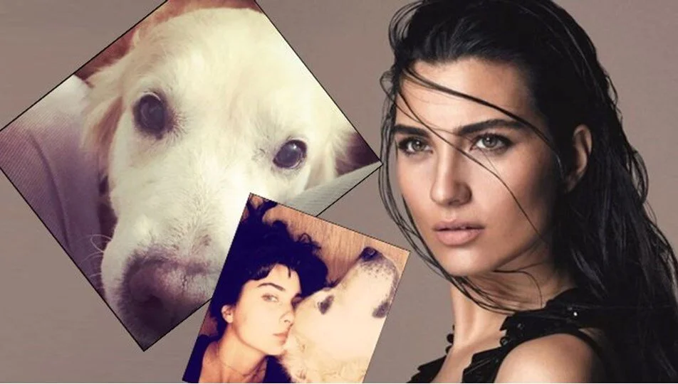 Tuba Büyüküstün Köpeğini Kaybetti